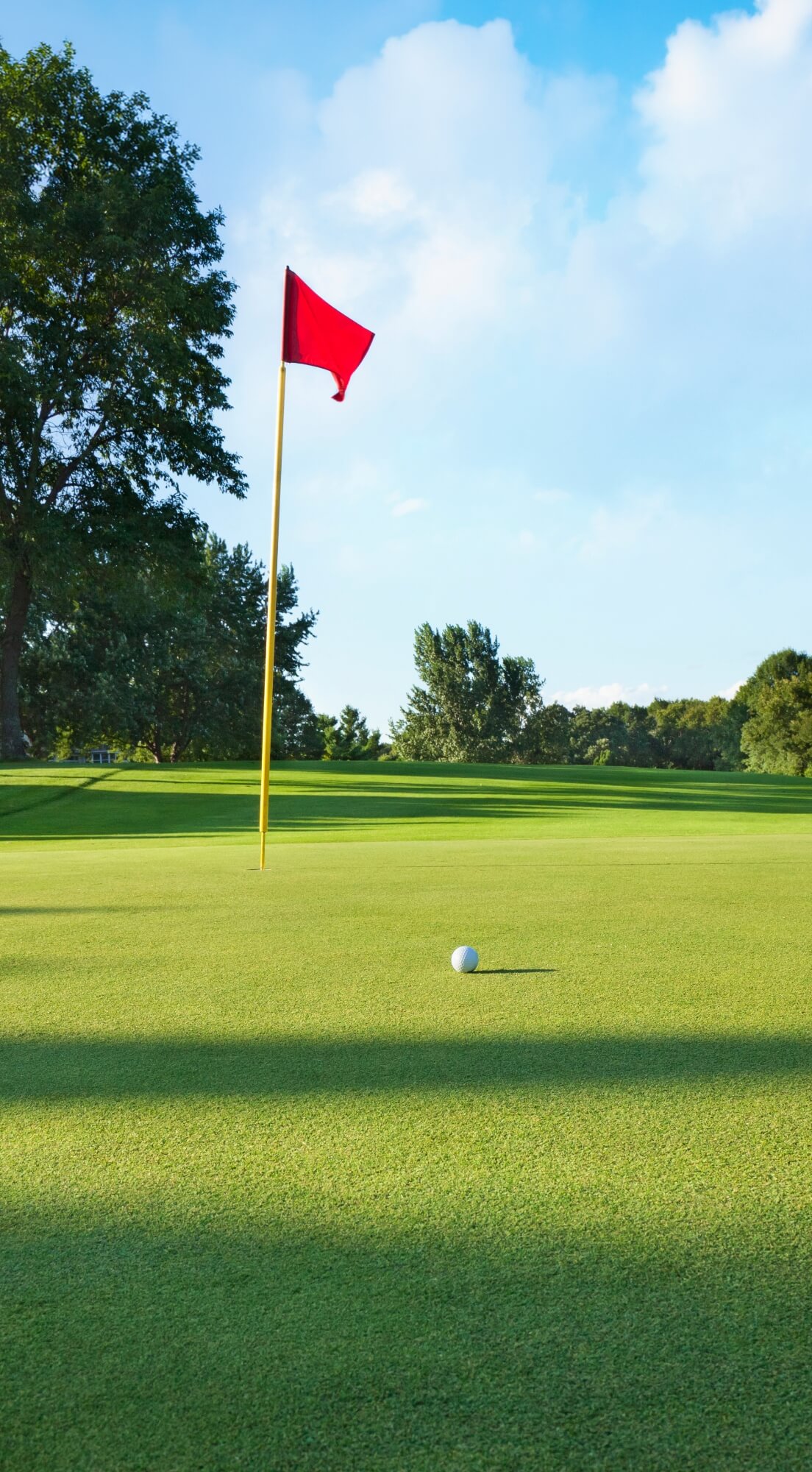 Golf course green with red flag, golf ball, trees, and blue sky